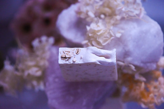 Oat & Lavender Soap Bar